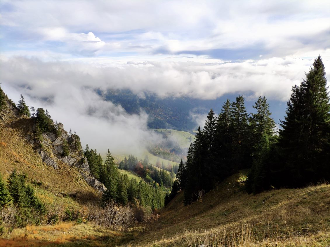 The Watcher in the Allgäu:discovering Bavaria's Grünten mountain